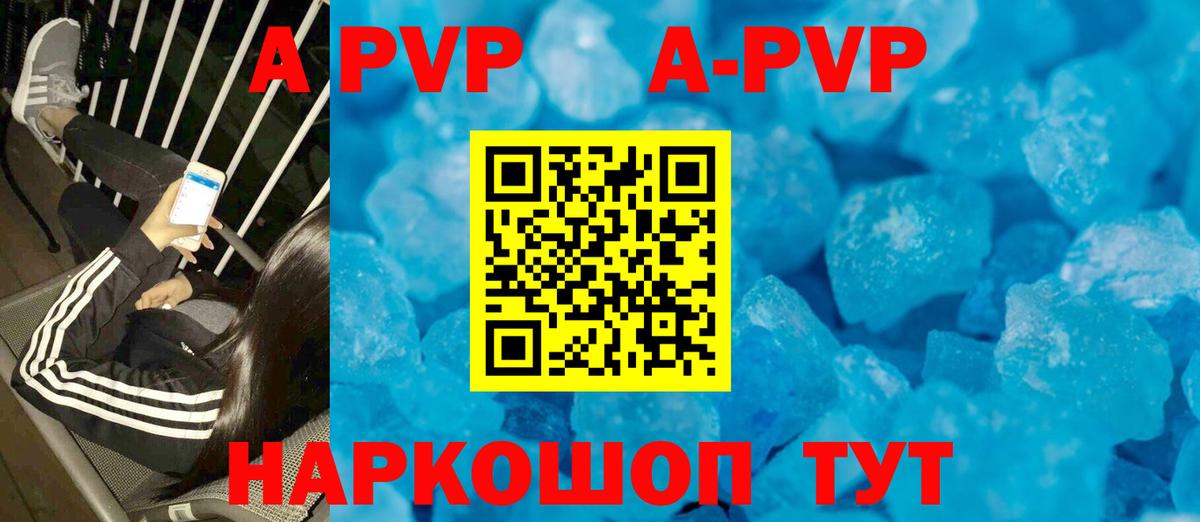 A PVP крисы CK Грозный