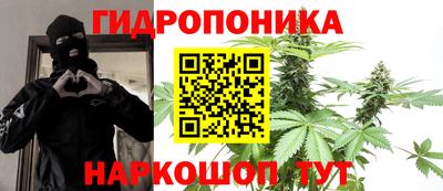 крисы Мариинск