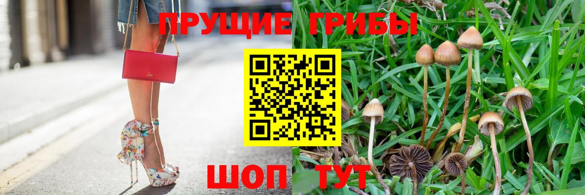 Галлюциногенные грибы ЛСД Грозный